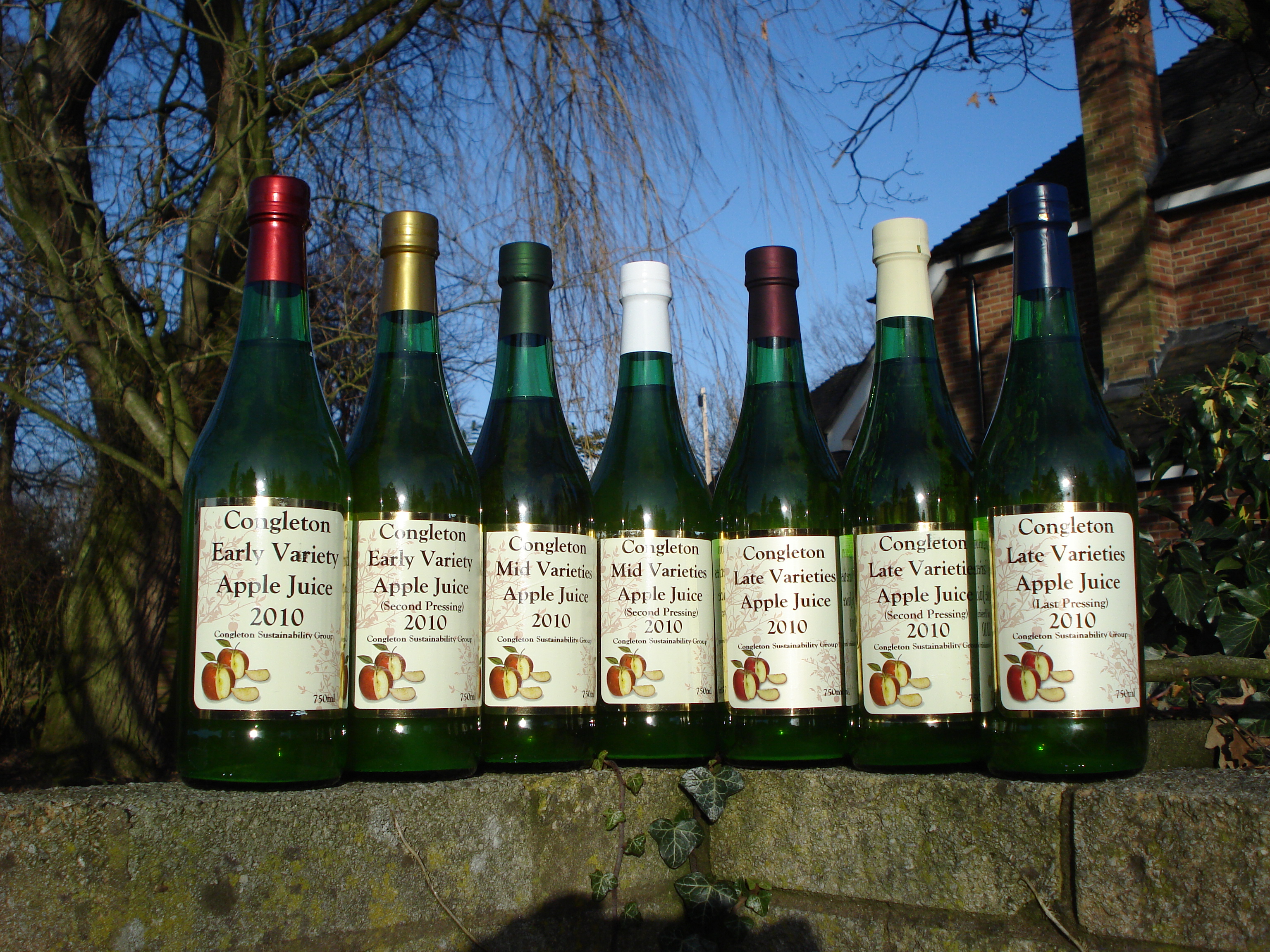 Congleton apple juice is born, the first bottles.