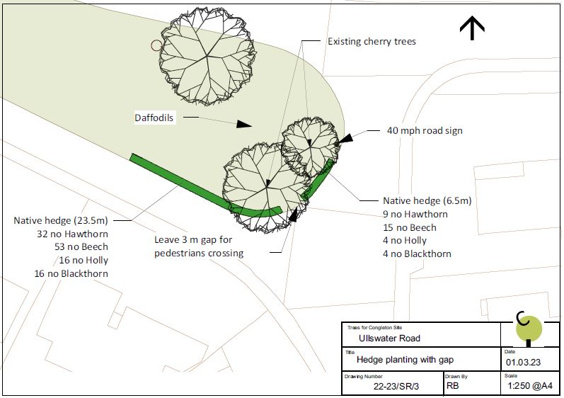 Ullswater Road planting plan