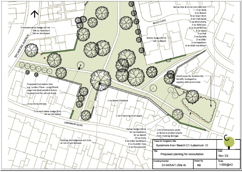Sycamore Ave proposed planting scheme