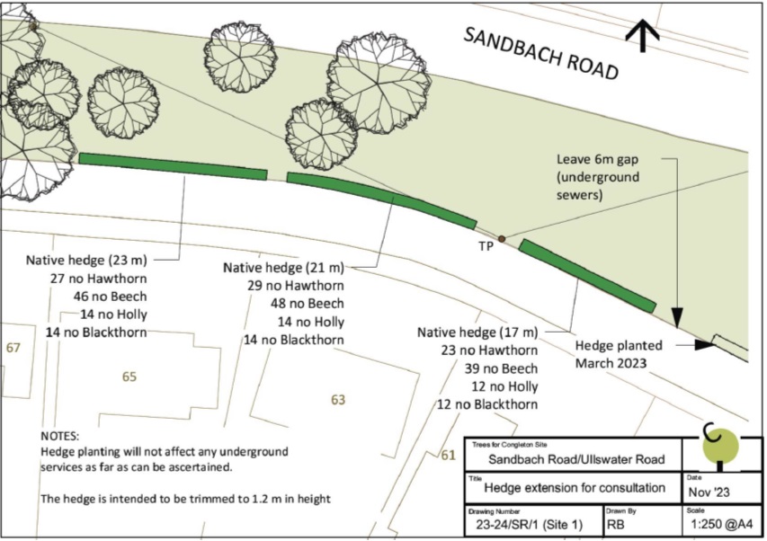 Ullswater Road / Sandbach road green space